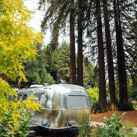 Autocamp Russian River Ґернвілл Екстер'єр фото