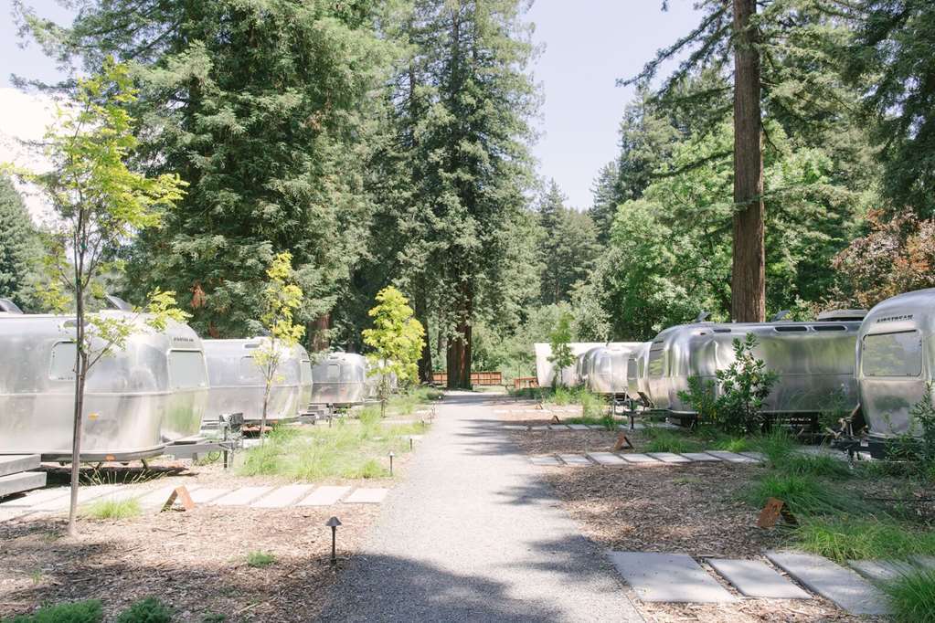 Autocamp Russian River Ґернвілл Екстер'єр фото